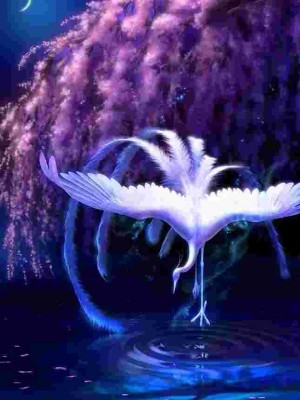 BRIDE OF THE SEVEN GOD'S,KRISNIGHTFALL