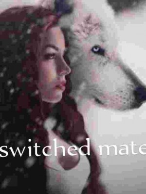 Switched Mates,Dorry