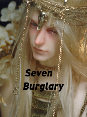 Seven Burglary,SSR