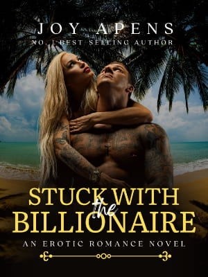 Stuck With The Billionaire,Joy Apens