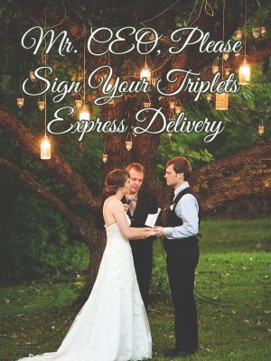 Mr. CEO, Please Sign Your Triplets Express Delivery,