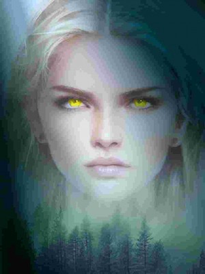 I Don't Follow, I Lead!,A.R.Wanderer