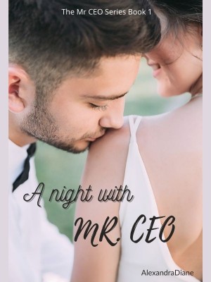 A night with Mr. CEO