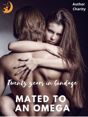 Twenty years in bondage,Author Charity