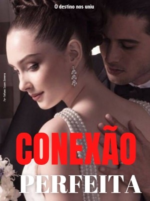 CONEXÃO PERFEITA