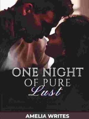 One Night Of Pure Lust,Amelia Writes