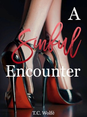 A Sinful Encounter,T.C. Wolfe