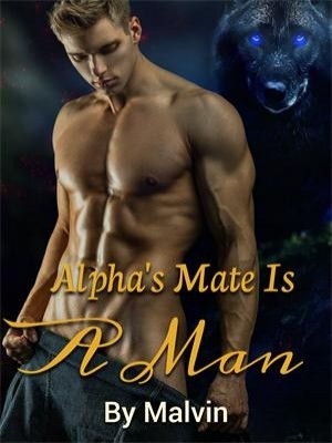Alpha's Mate Is A Man,Malvin