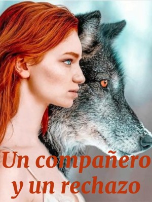 Un compañero y un rechazo