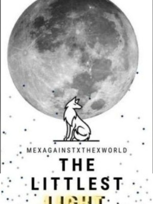 The Littlest Light,0