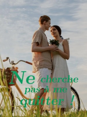 Ne cherche pas à me quitter ！