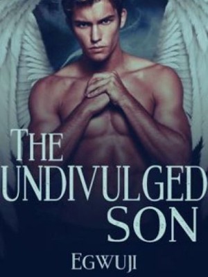 The Undivulged Son