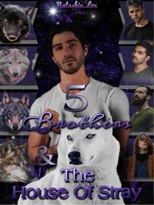 Five Brothers And The House Of Stray,Natashia_Lou