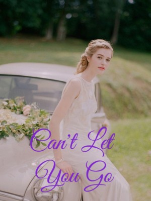 Can't Let You Go,