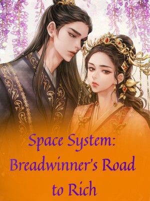 Space System: Breadwinner's Road to Rich,