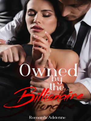 Owned by the billionaire,RomanticAdrienne