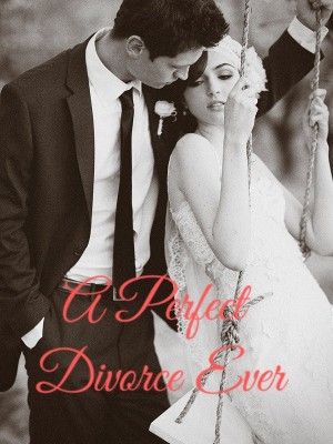 A Perfect Divorce Ever,