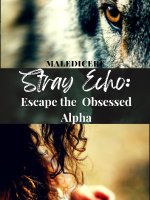 Stray Echo: Escape the Obsessed Alpha,Maledicere