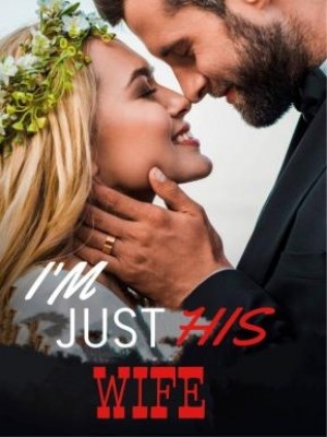 I'm Just His Wife,Zebbie Zebbie