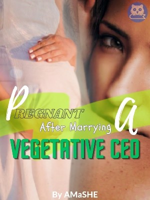 Pregnant After Marrying A Vegetative CEO,AMaSHE