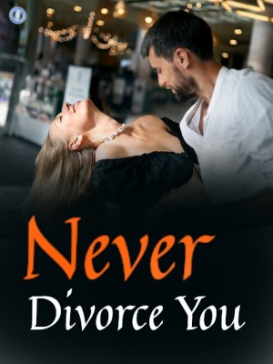 Never Divorce You,