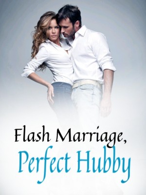 Flash Marriage, Perfect Hubby