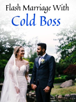 Flash Marriage With Cold Boss,