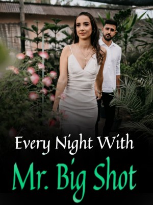 Every Night With Mr. Big Shot,