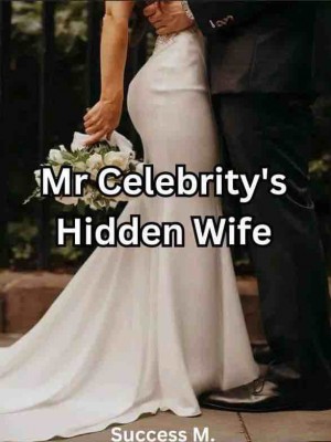 Mr Celebrity's Hidden Wife,Success M.