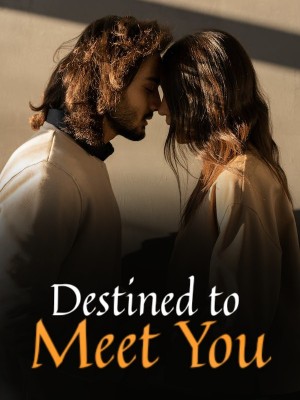 Destined to Meet You,