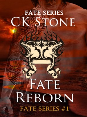Fate Reborn: Fate Series #1,Christina OW