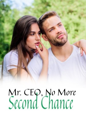 Mr. CEO, No More Second Chance,