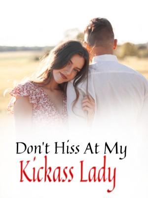 Don't Hiss At My Kickass Lady,