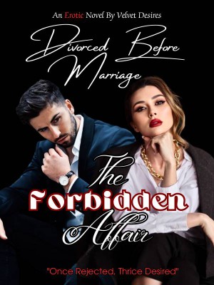 Divorced Before Marriage: The Forbidden Affair,Velvet Desires
