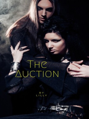 The Auction Series,Lilly Kennedy