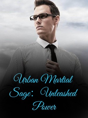 Urban Martial Sage：Unleashed Power,