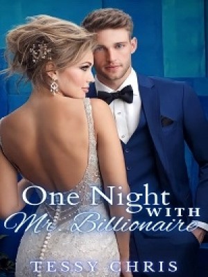 One Night With Mr. Billionaire