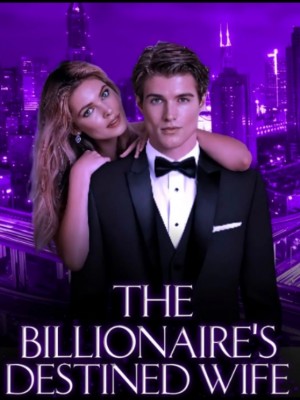 The Billionaire's Destined Wife,Mr.Delicacy