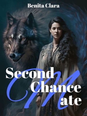 Second Chance Mate