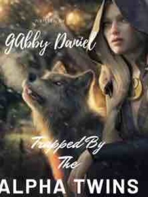 Trapped By The Alpha Twins,Gabby123