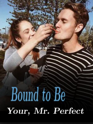 Bound to Be Your, Mr. Perfect,