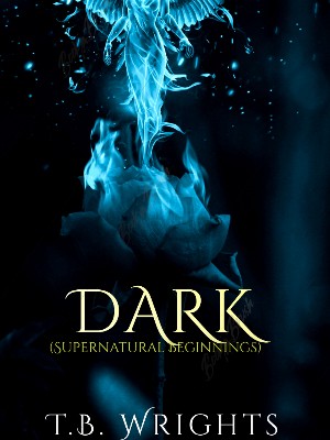 Dark Book One Superrnatural Beginning Series,T.B. Wrights