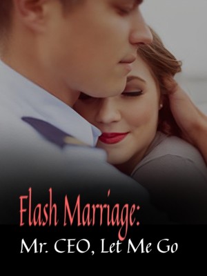 Flash Marriage: Mr. CEO, Let Me Go