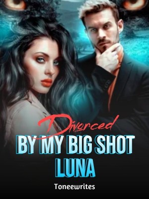 Divorced By My Big Shot Luna,Toneewrites