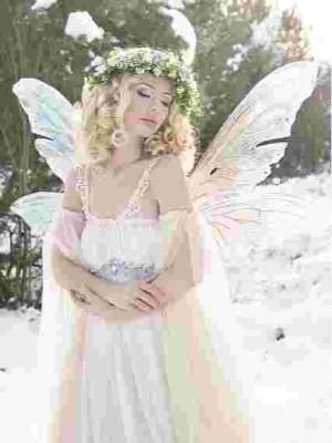 The Winter Fairy,Kimmystarlight