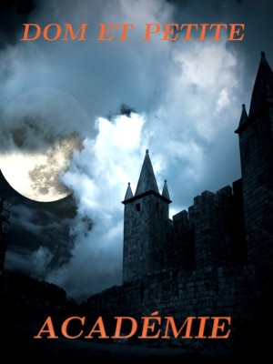 DOM ET PETITE ACADÉMIE