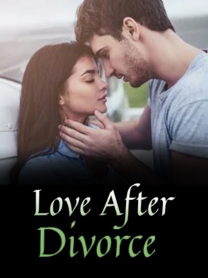 Love After Divorce,