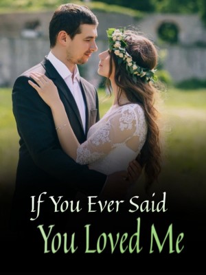 If You Ever Said You Loved Me
