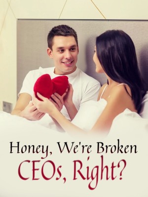 Honey, We're Broken CEOs, Right?,