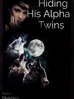 Hiding His Alpha Twins,Rosie Meachem